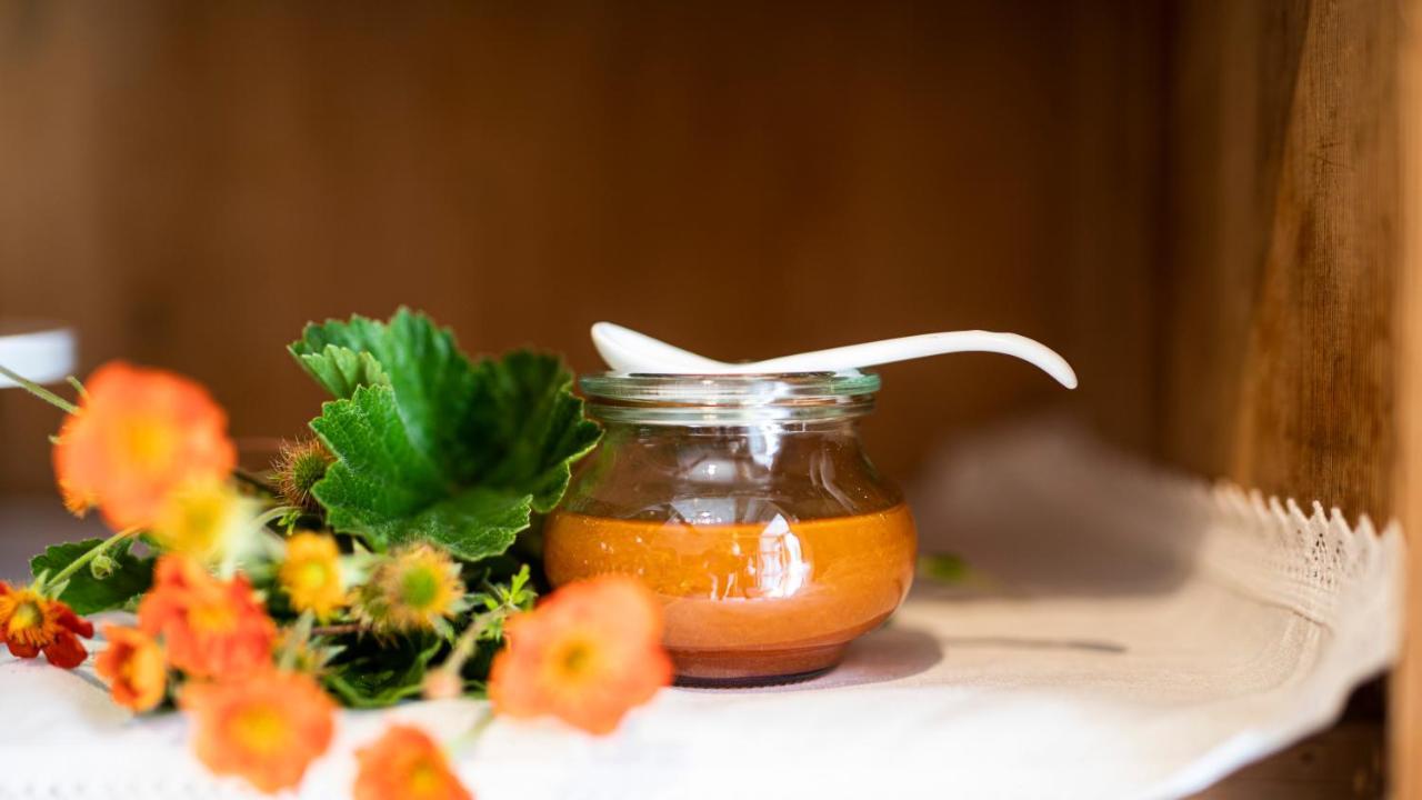 Natura Boutique Chalet Wellness Spa Dobbiaco Eksteriør billede