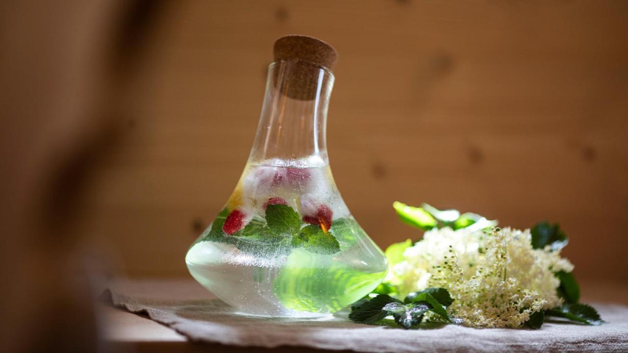 Natura Boutique Chalet Wellness Spa Dobbiaco Eksteriør billede